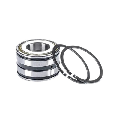 Complemento automóvel SL04 5007 PP2NR Rolamentos para durabilidade