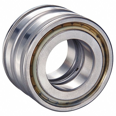 Complemento automóvel SL04 5007 PP2NR Rolamentos para durabilidade